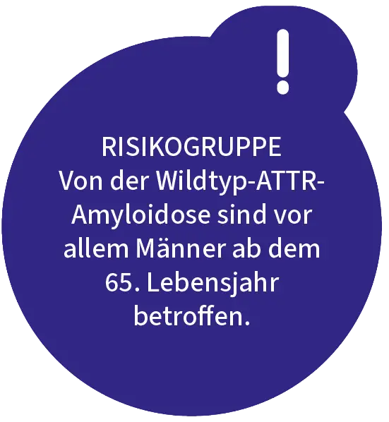 Risikogrupp: Von der Wildtyp-ATTR-Amyloidose sind vor allem Männer ab dem 65. Lebensjahr betroffen.